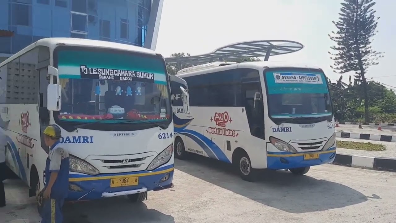 TRANSPORTASI DAMRI SERANG PAKUPATAN MENUJU PANTAI SAWARNA #sawarna #Wisata #shorts