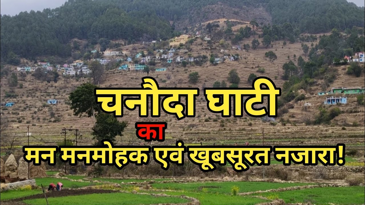 देवभूमि उत्तराखंड की खूबसूरत वैली चनौदा घाटी। Chanodaghati | Someshwarghati | Pahad | Devbhoomi |