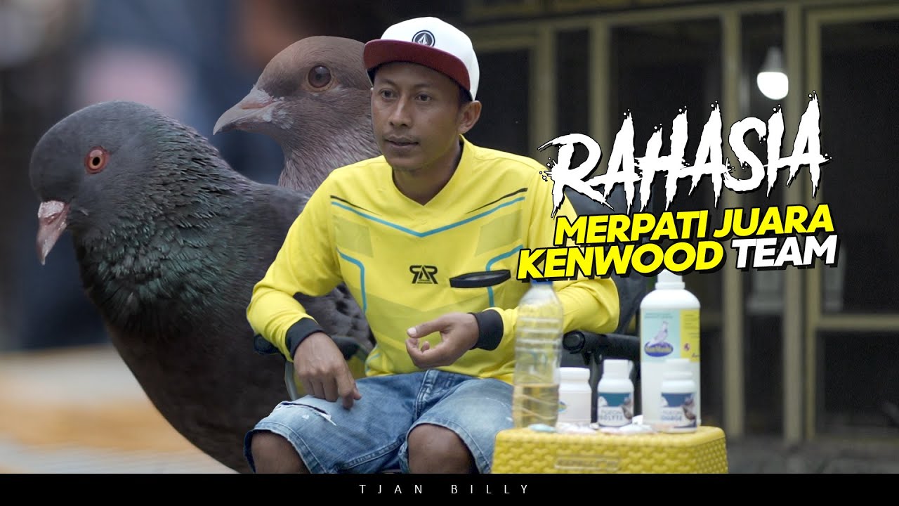 VETAFARM RAWATAN MERPATI PLAYER JUARA VERSI KENWOOD TEAM