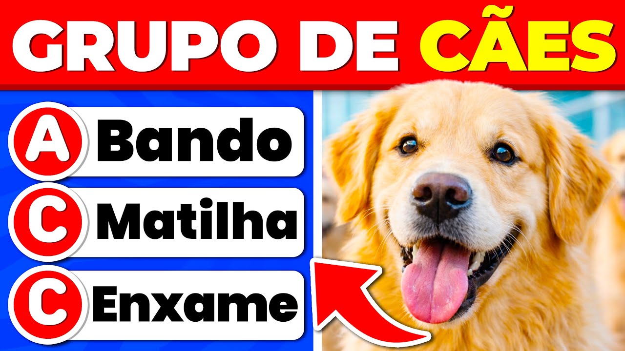 Você Deveria Saber Isso! 😱 | 100 Perguntas de Conhecimentos Gerais🧠🌍Capitão Quiz