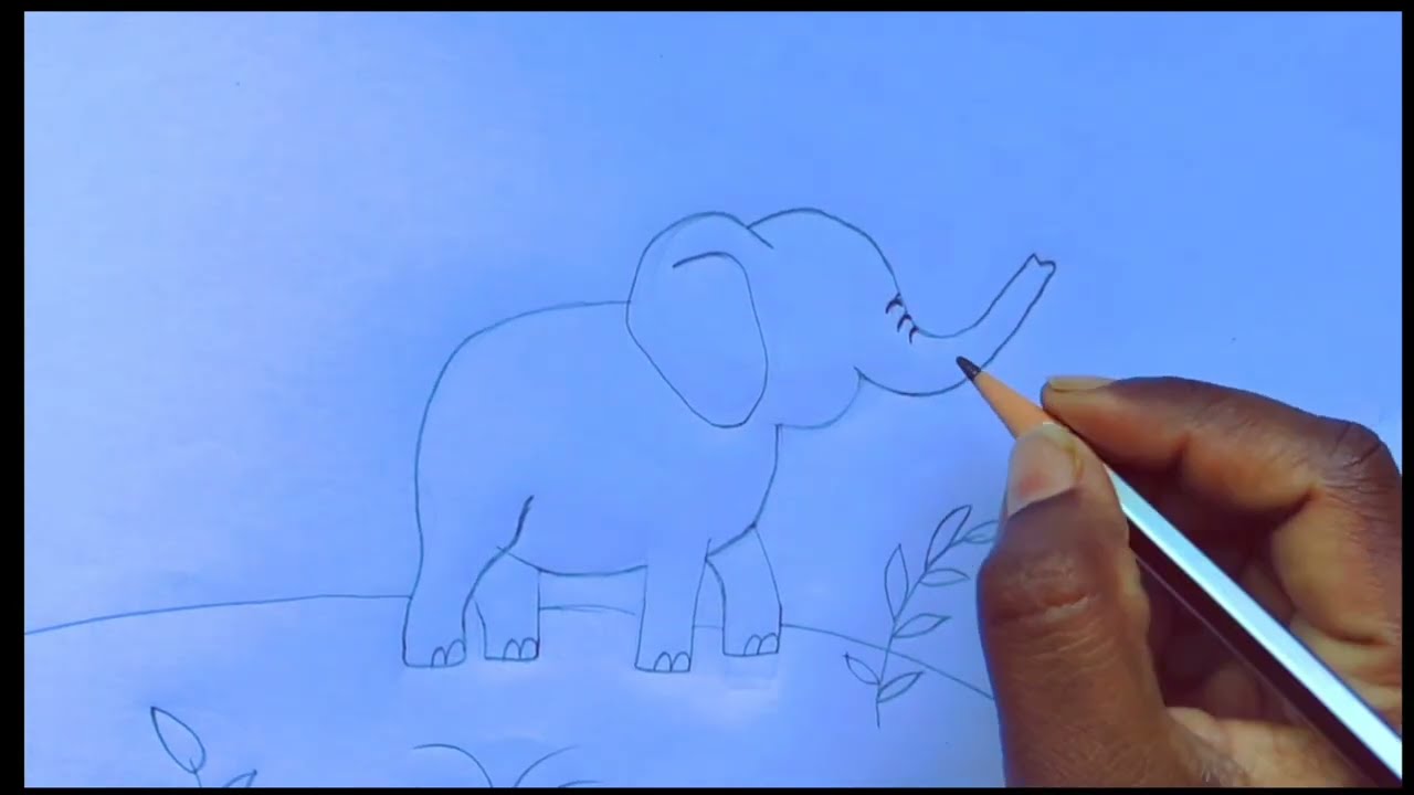 Elephant Drawing Easy Step by Step Tutorial