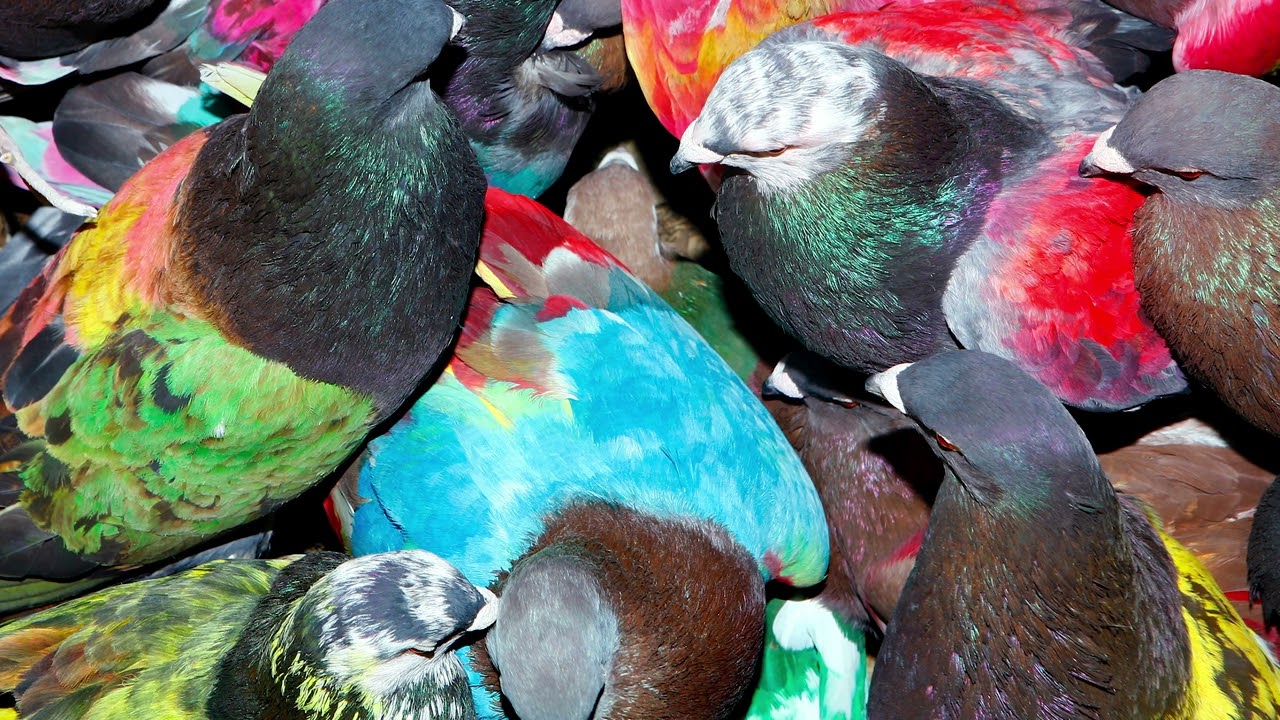 Blawan - Weirdos United
