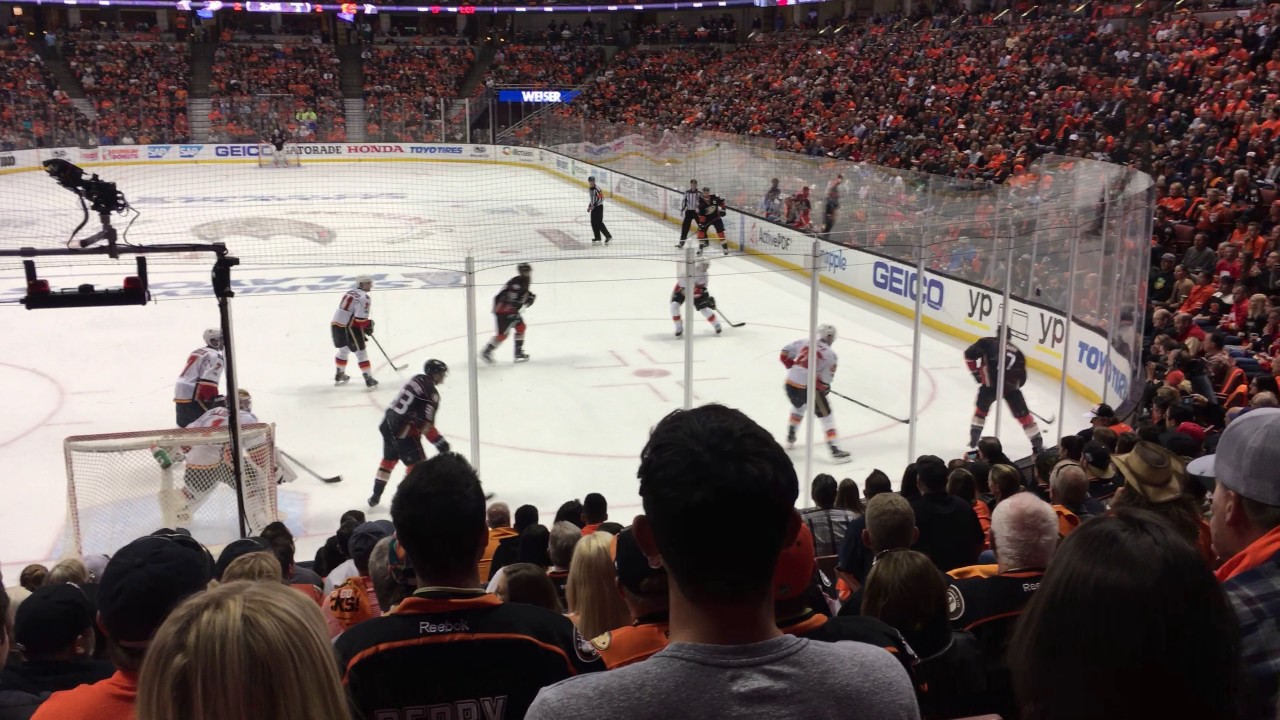 Anaheim Ducks Goal