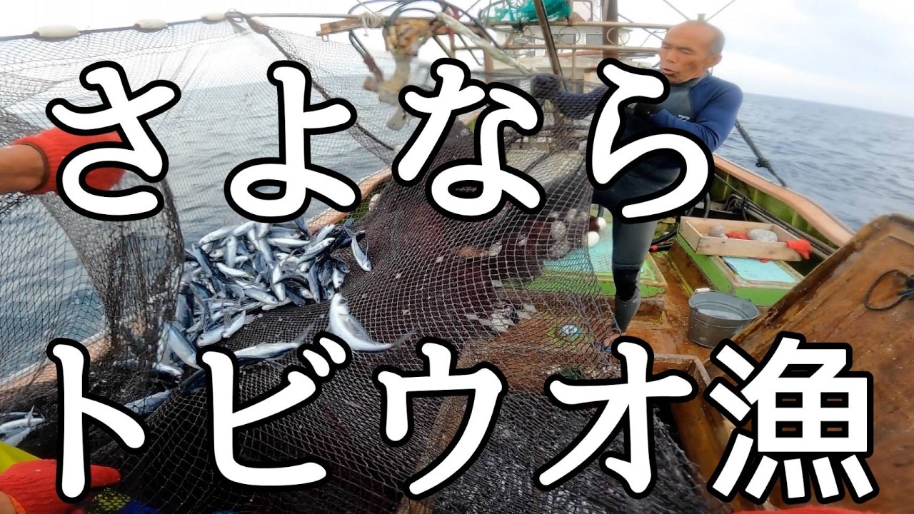 トビウオ漁を辞めることになった訳。チャンネルは継続します