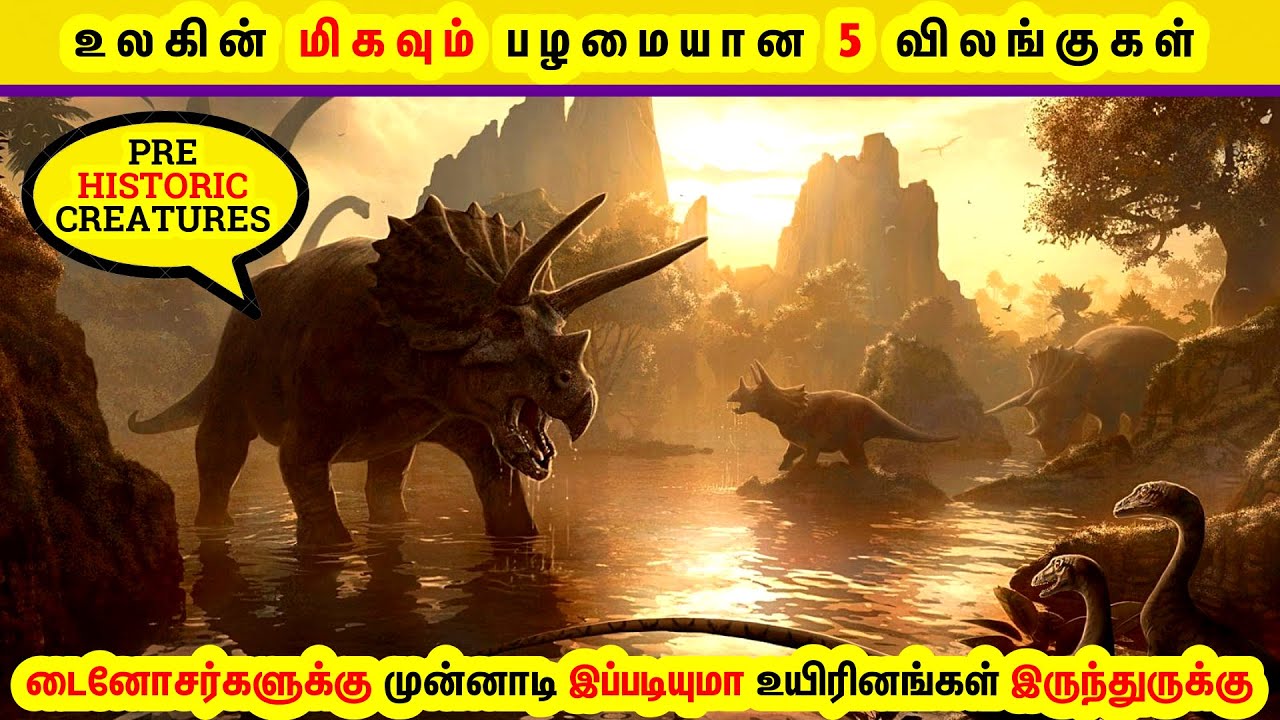அட டேய் அப்ப டைனோசர் பழமையான உயிரினம் இல்லையா | Amazing Facts Animals in tamil | GK FOX