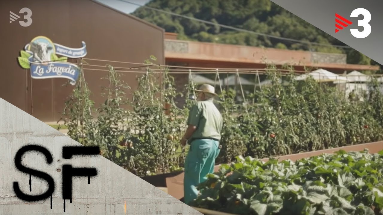 Utopia iogurt