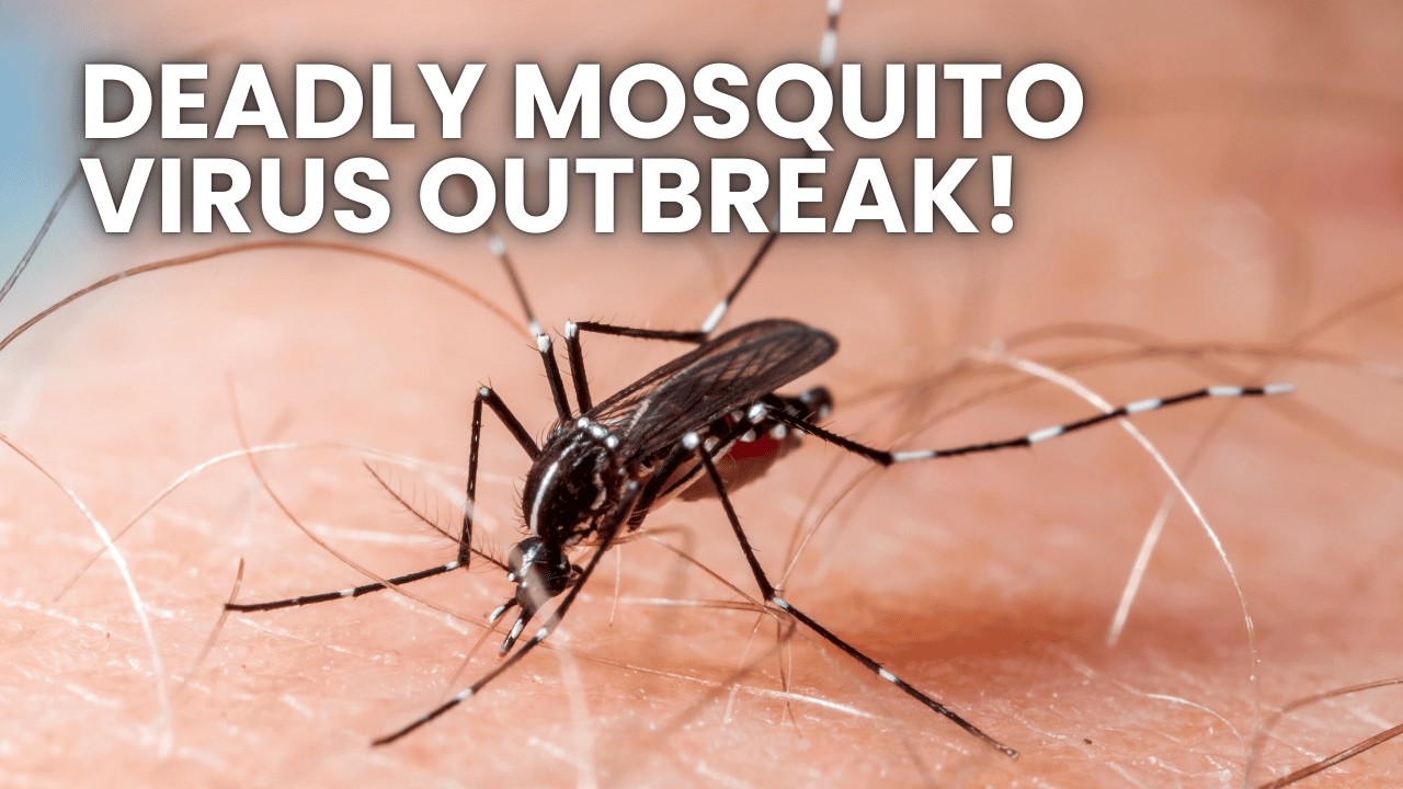 New Deadly Mosquito Virus Is Spreading Across the Country
