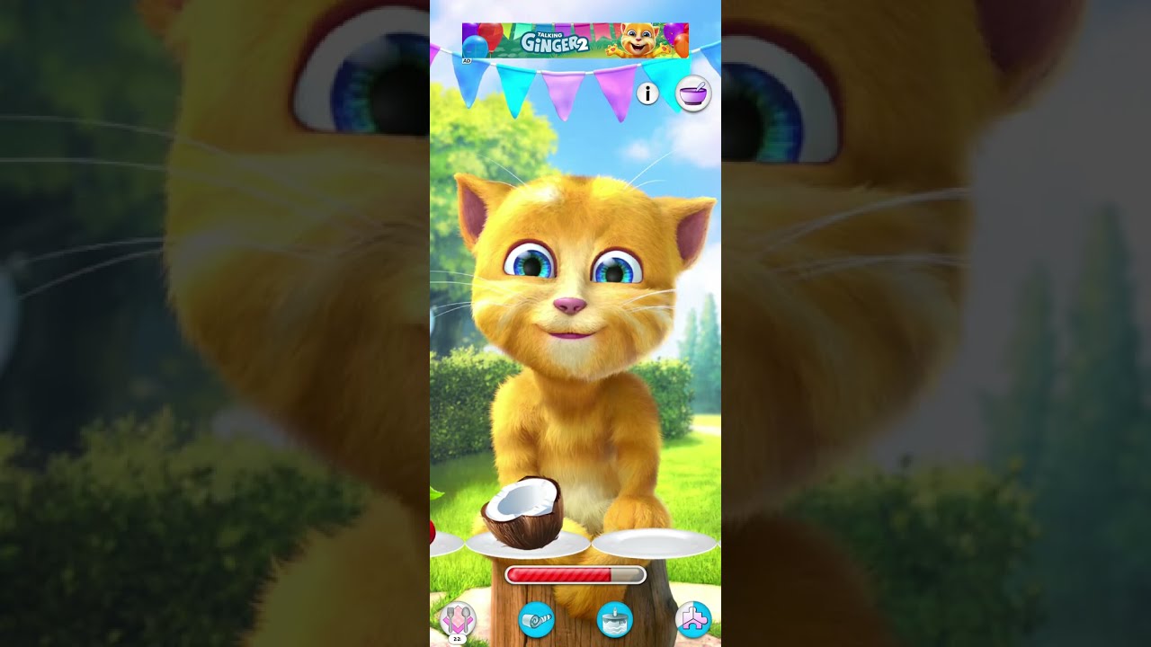 Talking Ginger 2