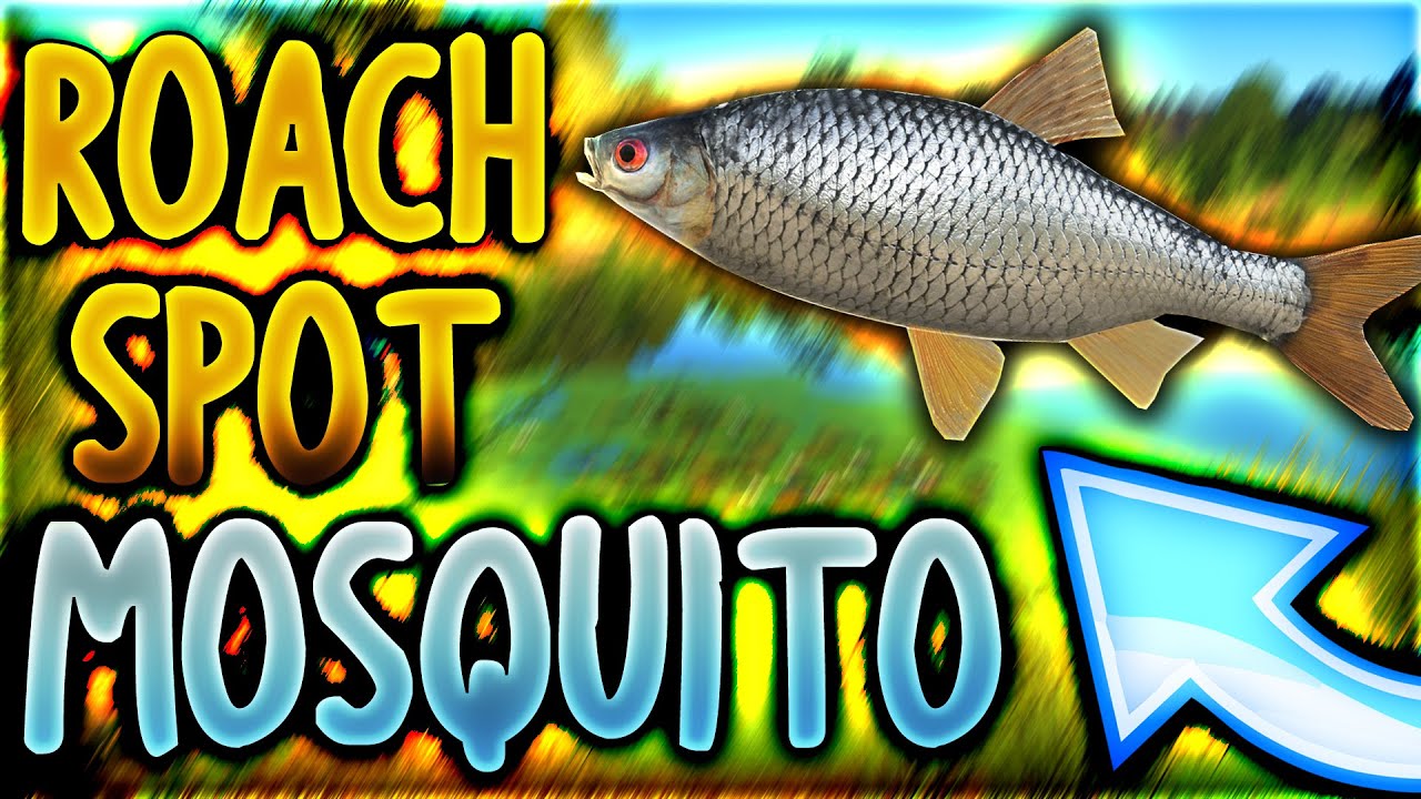 ULTRA ROACH SPOT - MOSQUITO LAKE! | Russian Fishing 4
