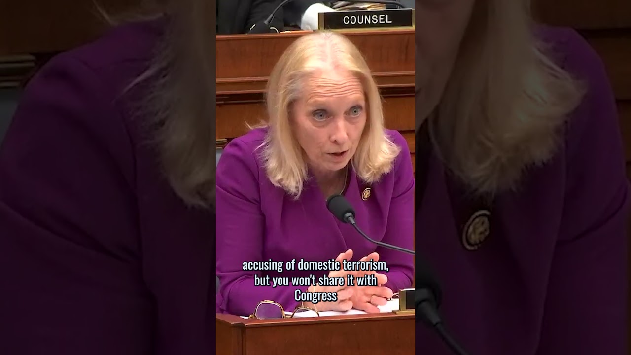 Scanlon: Using your First Amendment rights to speak out against this administration is not illegal.