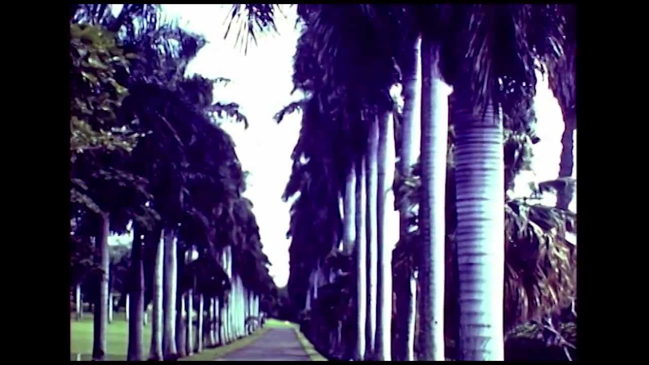 Historic Old Oahu 1940 - Part Four