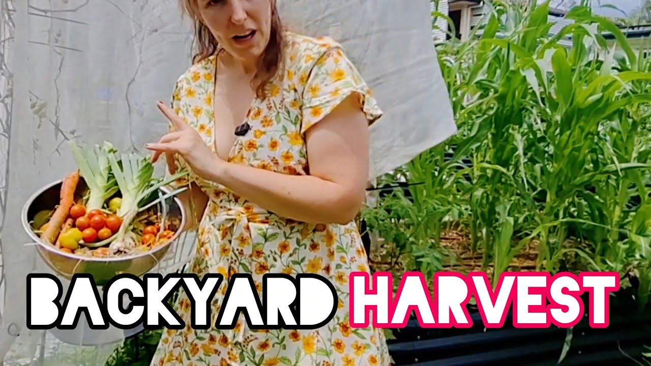 🌾Backyard SUBURBAN HOMESTEAD🪴 providing for dinner 