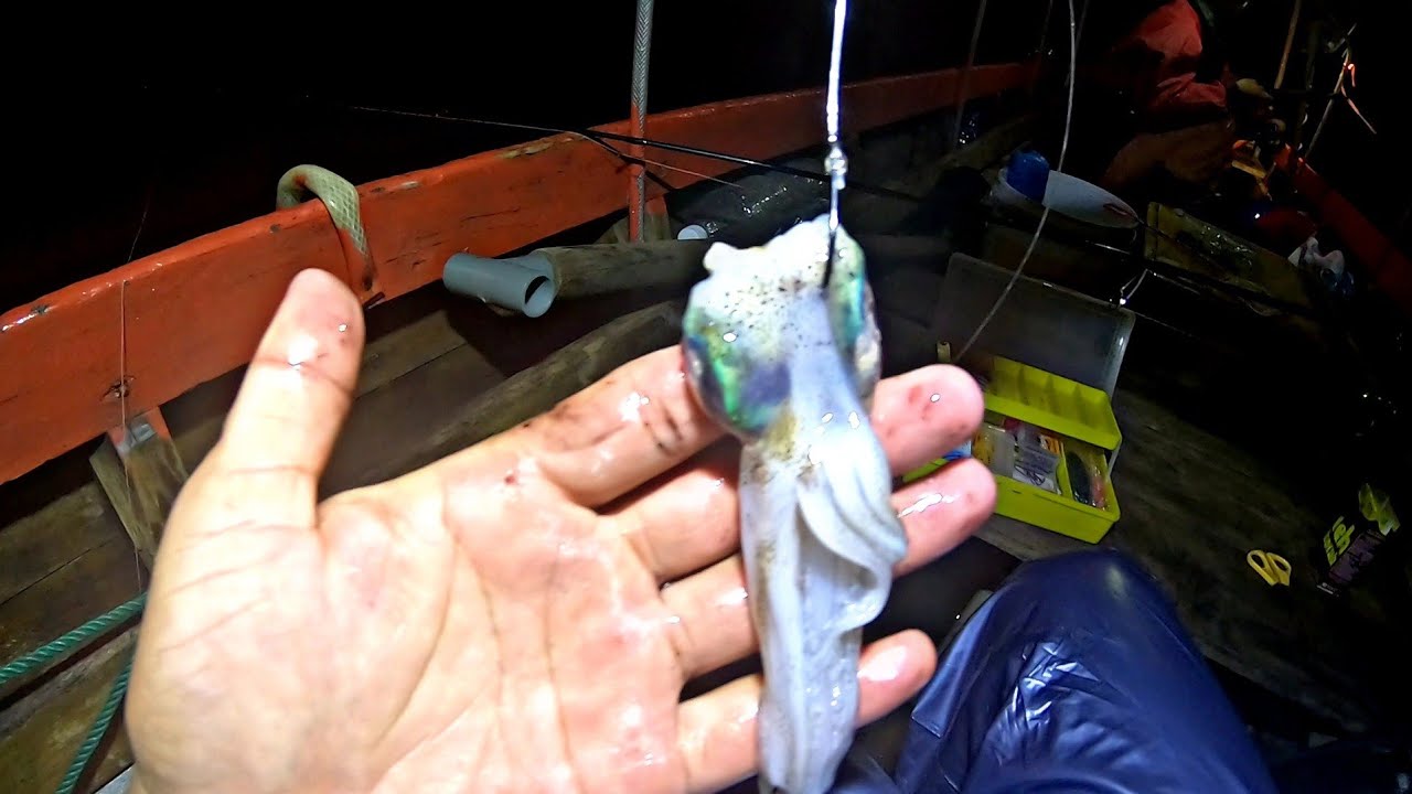 Mancing Malam Hari Di Laut Menggunakan Umpan ini,Jauh Dari Kata Boncos