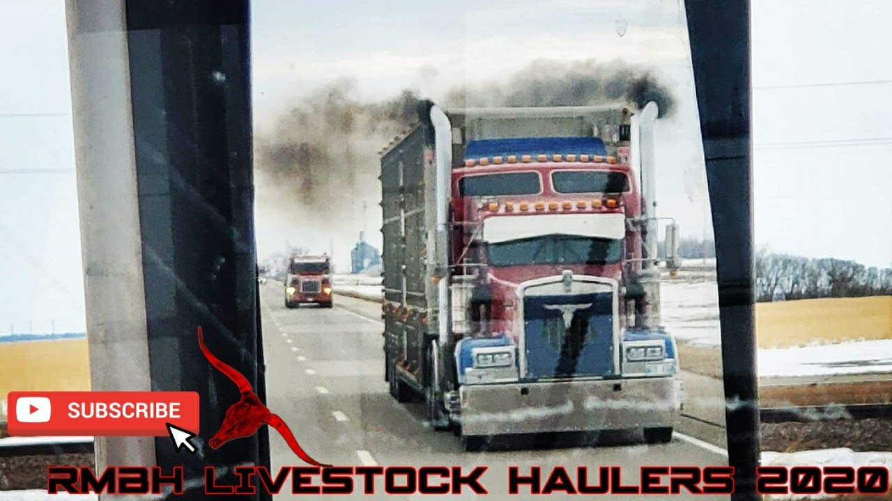 Rocky Mountain Bull Hauler 2020