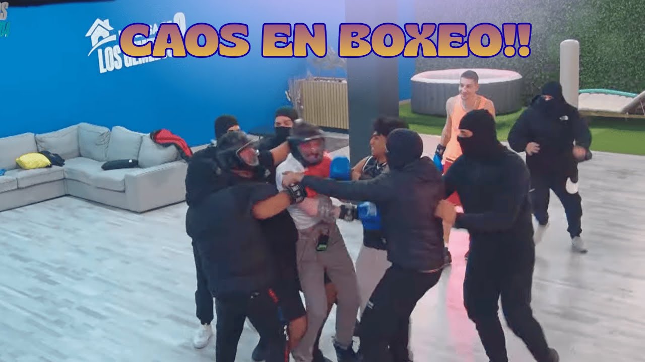 CAOS EN LA CLASE DE BOXEO!!! Patica y Labrador SE PICAN