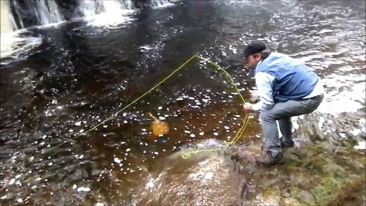 Fishing slide show