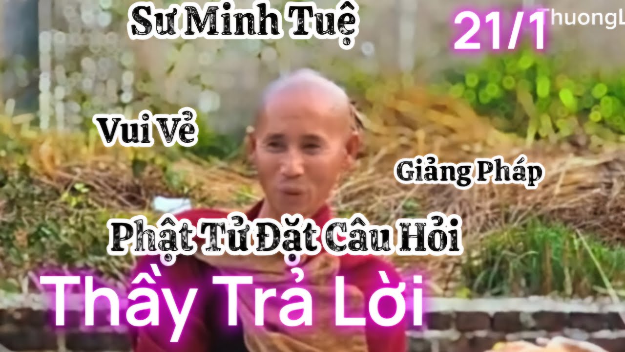 21/1 Sư Thầy Minh Tuệ vui vẻ Thầy cười rồi trả lời phật tử rõ ràng từng câu hỏi , Thầy giảng pháp
