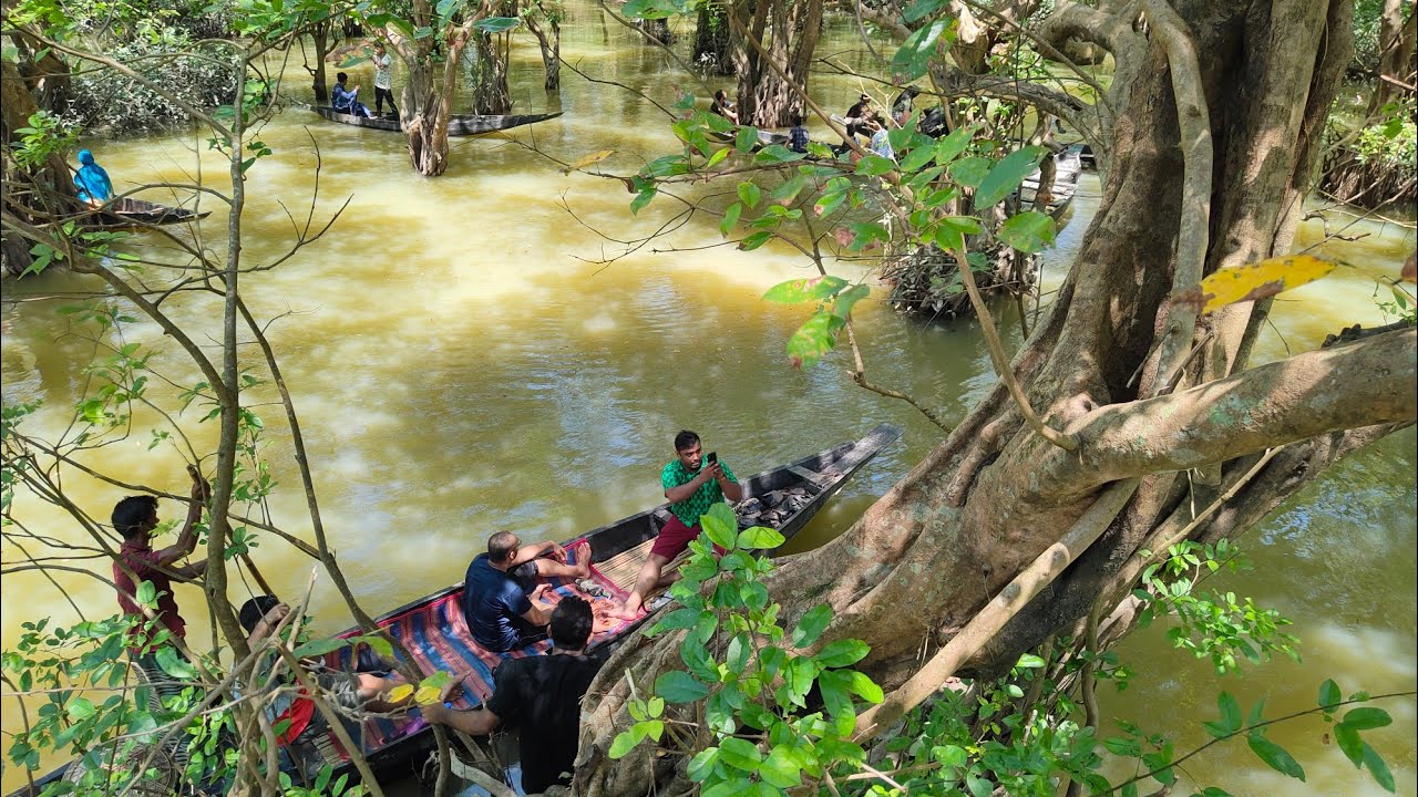 Sylhet Tour (SadaPathor, Ratargul, Jaflong, Sripur Pahar)