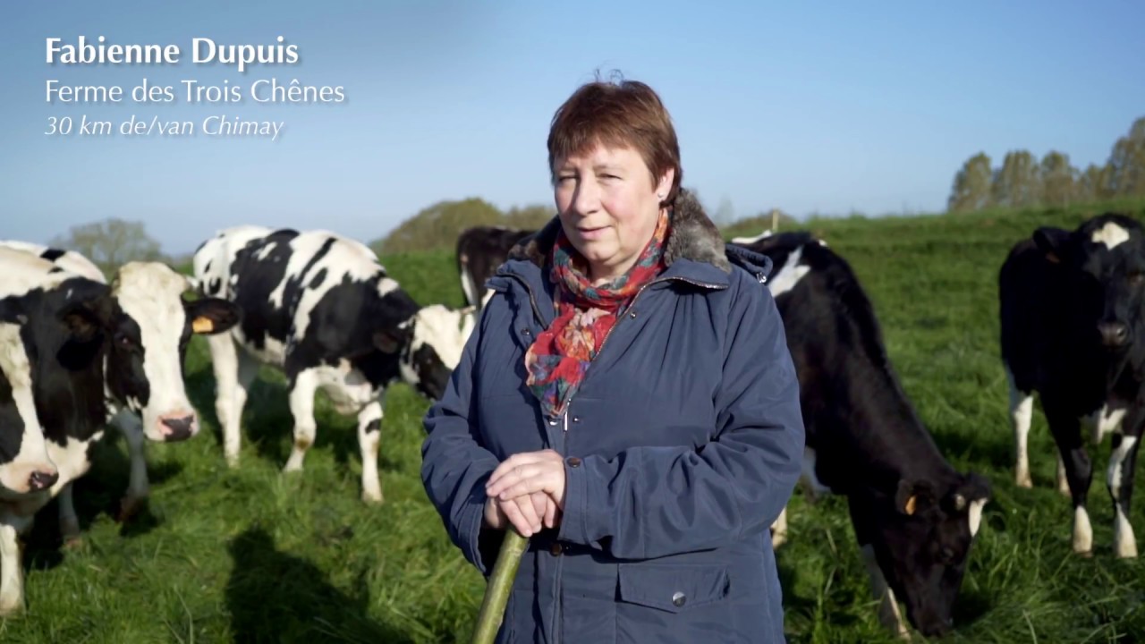 Lait du pays de Chimay