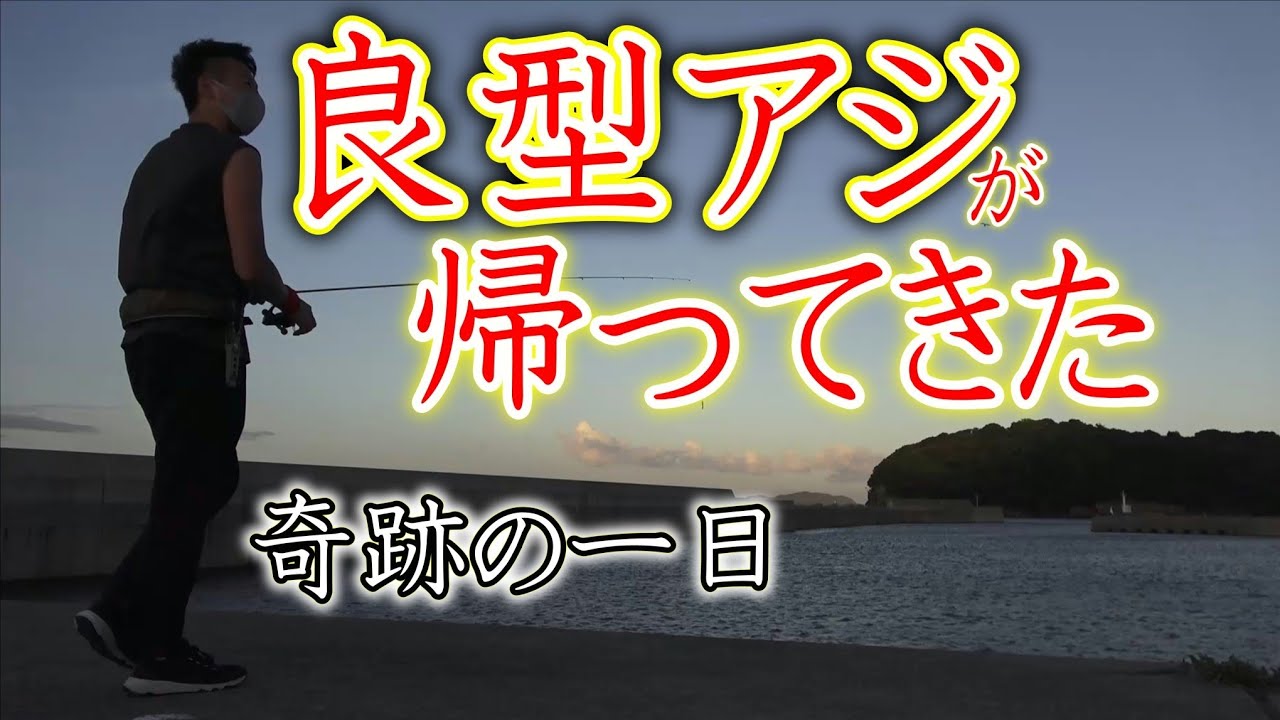 【アジング】良型アジが帰ってきた