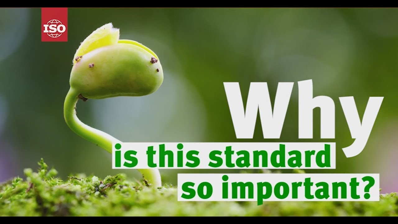 Discover the ISO 14001 Standard - Environmental Management