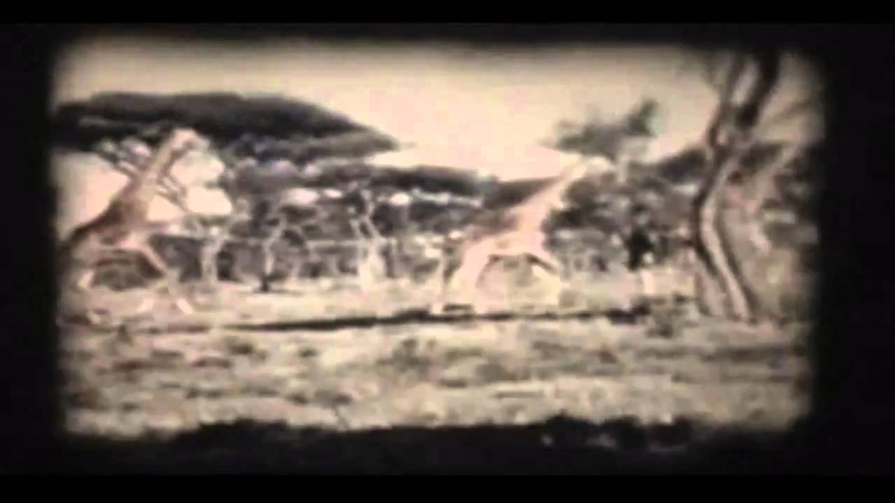 Noir - Africanism