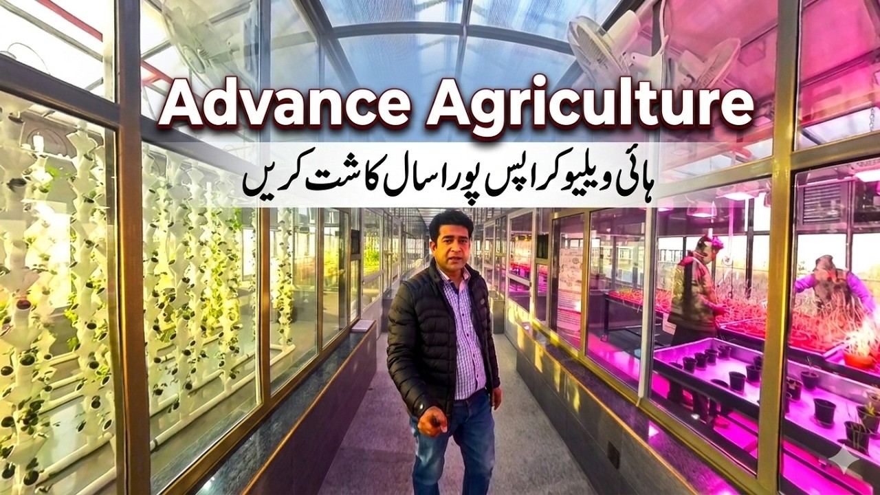 ہائی ویلیو فصلیں پورا سال کاشت کرنے کی ٹیکنالوجی پاکستان آ گئی