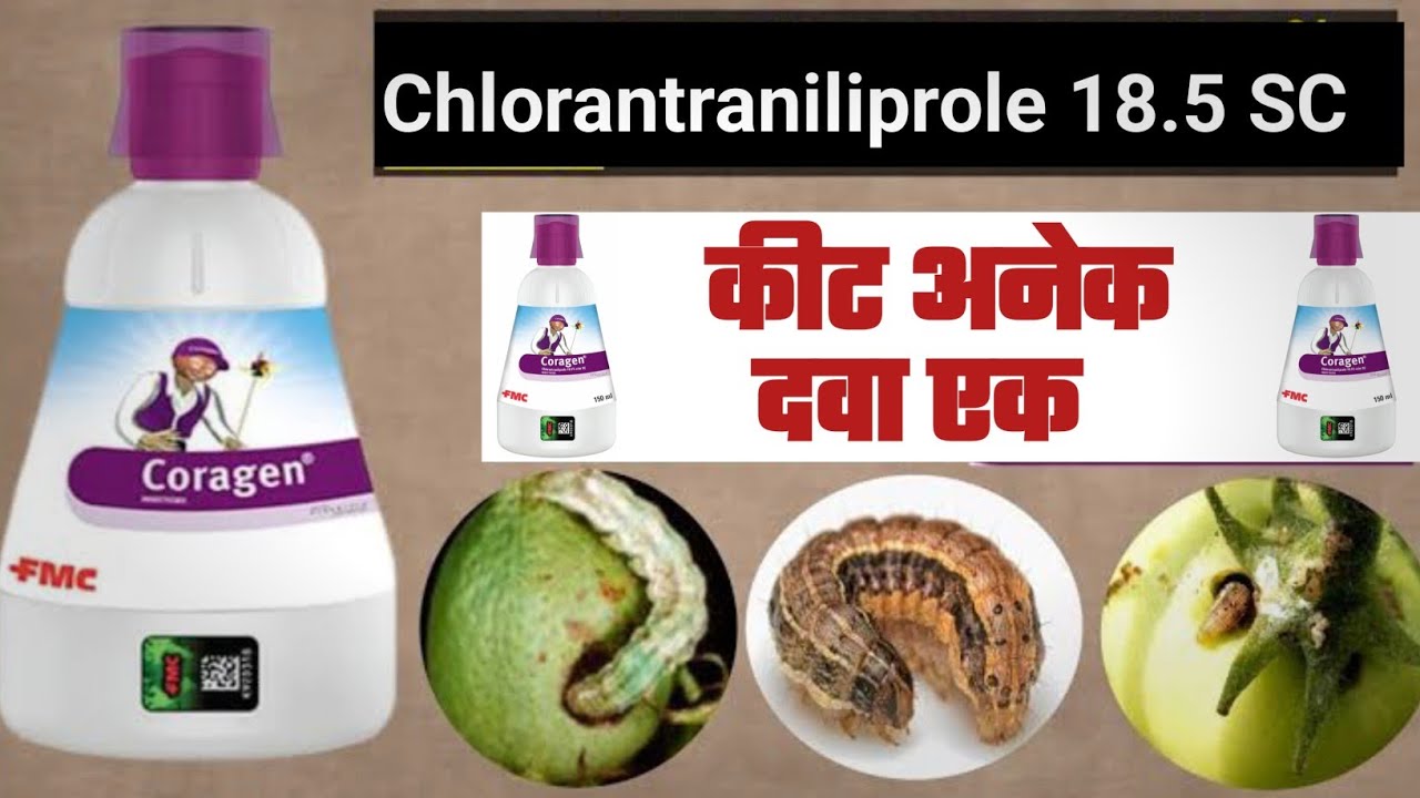 Coragen Insecticide Aise Karta Hai Insect Pest Ka Khatma | Chlorantraniliprole Insecticide