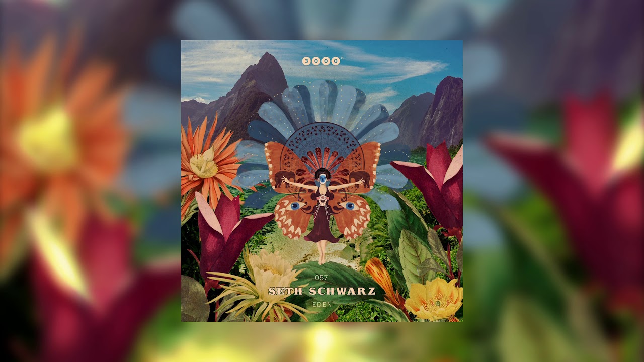 Seth Schwarz - Quando Rando (Original Mix)