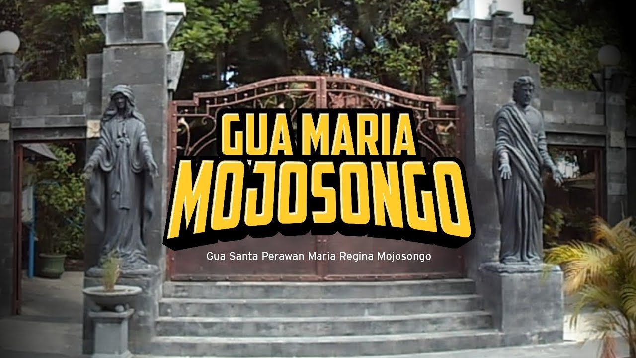 Гуа Мария МОДЖОСОНГО соло #explore #mojosongo
