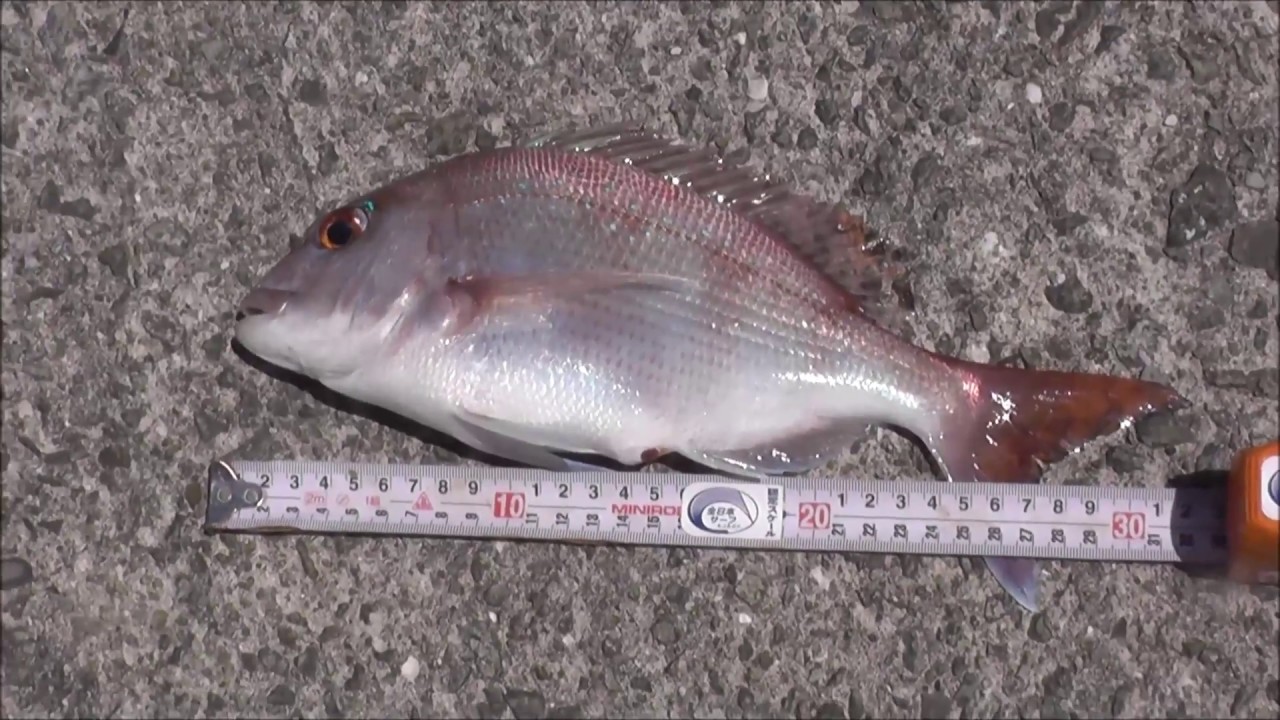 第３回 六連島 釣り大会