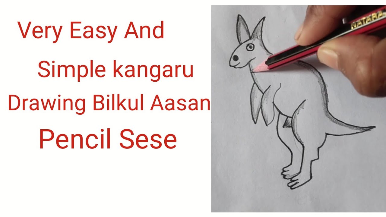 How to Draw a Easy Kangaroo Drawing ll Kangaroo art#easydrawing #viral #youtubevideos 