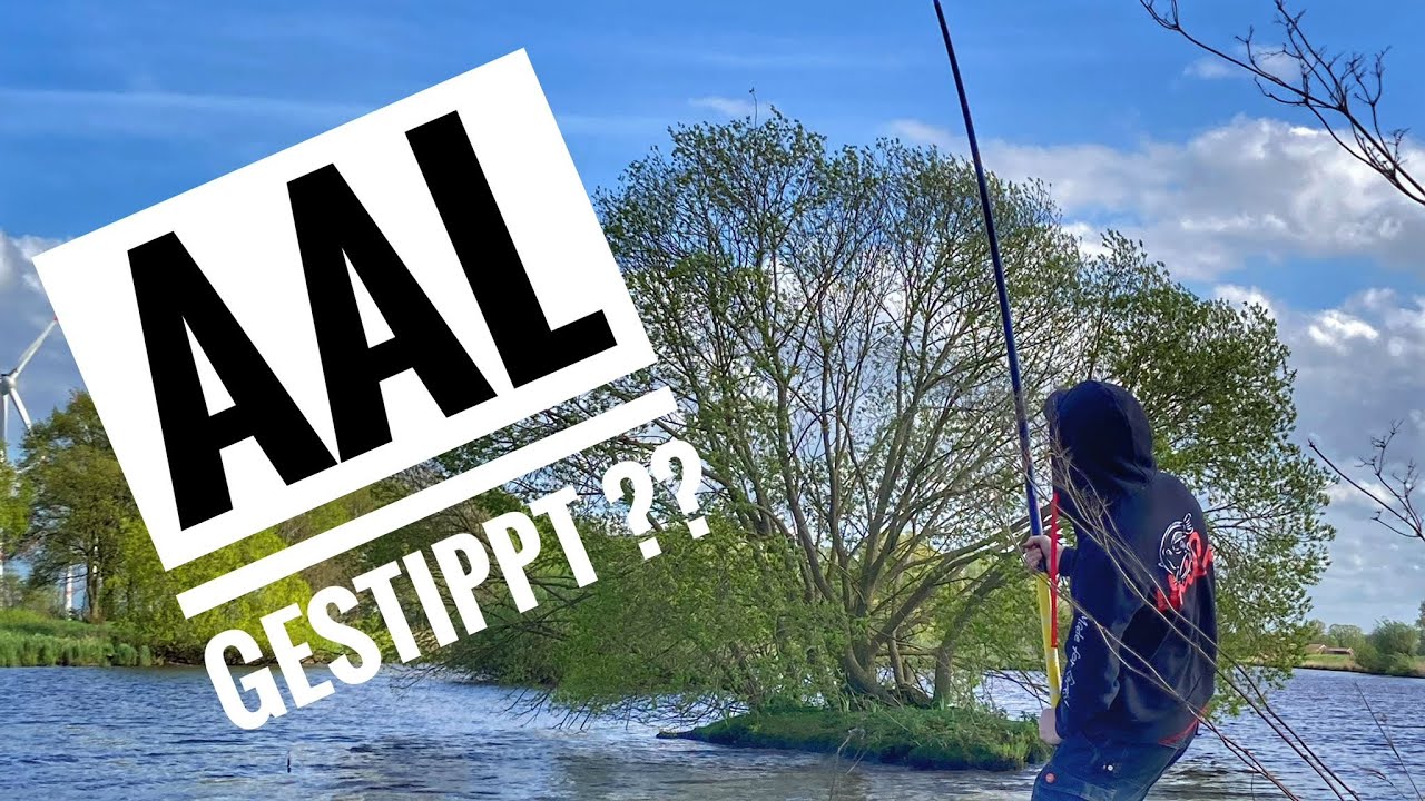 AAL an der Stippe