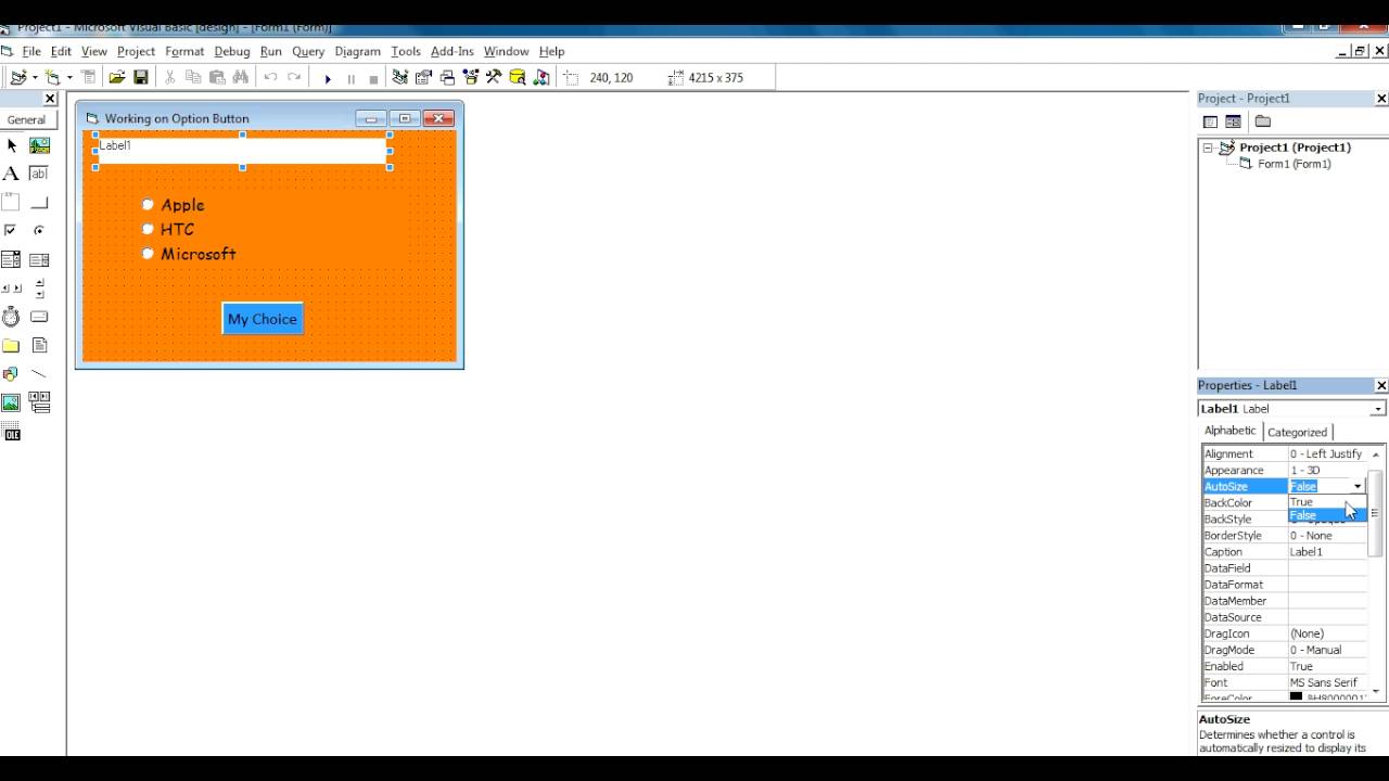 Option Button In VB 6.0