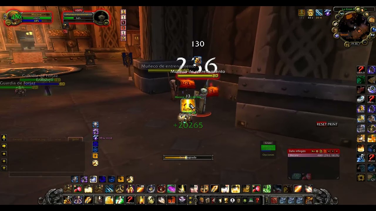 Guía pala heal PVE 3.3.5a Naerzone 2024