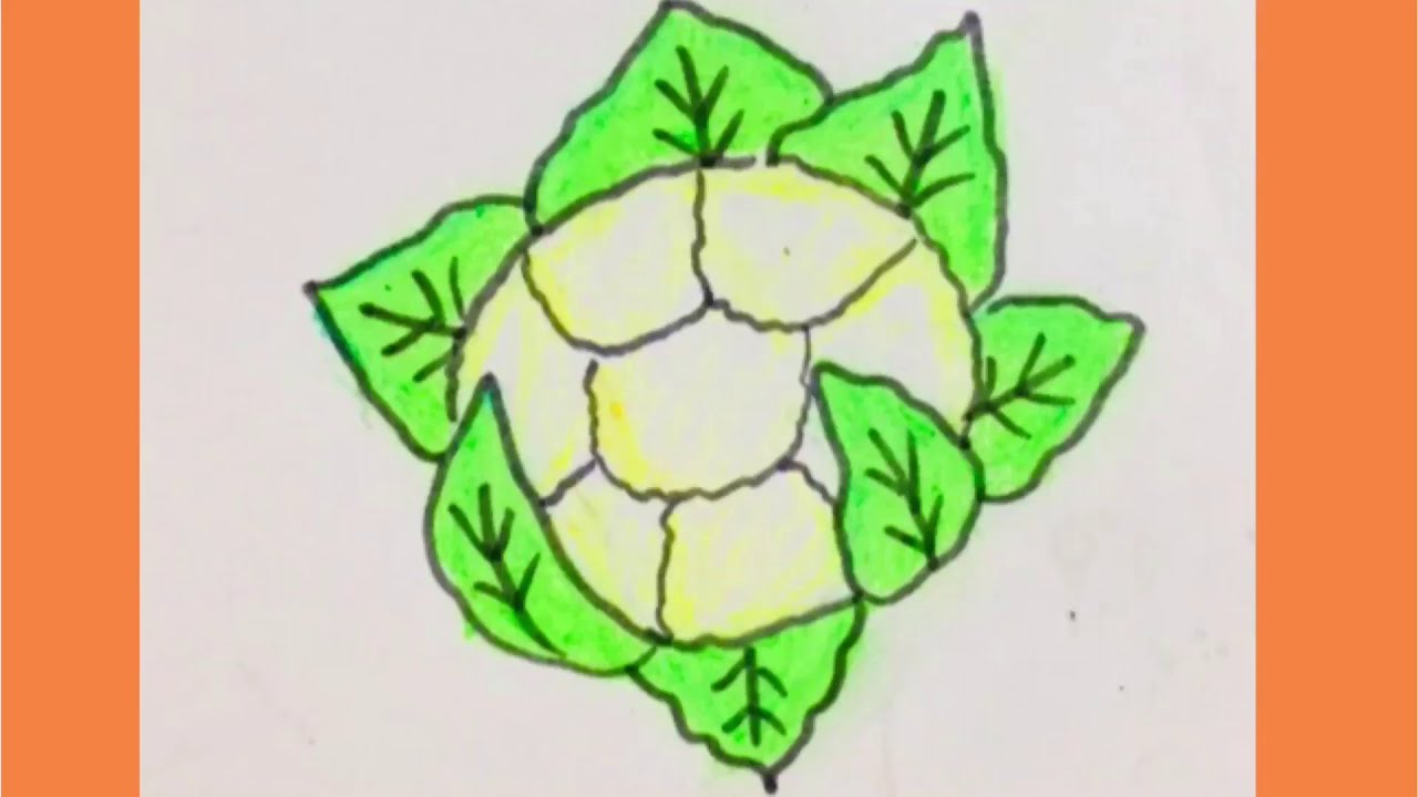 How to draw cauliflower step by step|easy cauliflower drawing|vegetable drawing