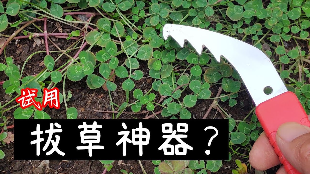 是拔草神器嗎？簡易拔草器試用 / 園藝工具系列03