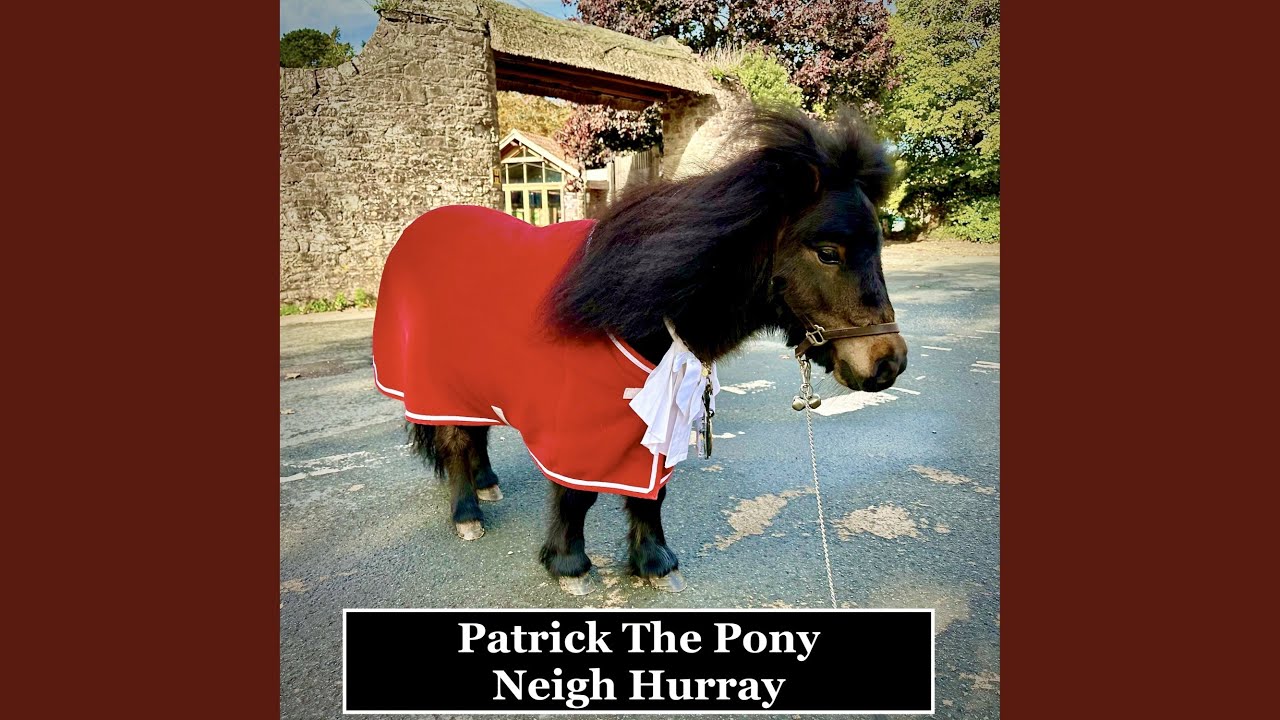Neigh Hurray