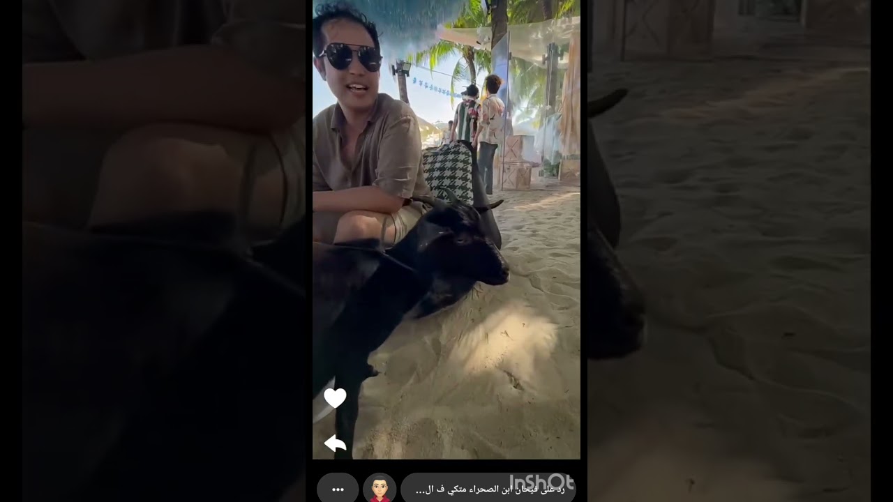 التيس انحاش في الصين 🇨🇳  راحت الضحيه يا ابن الصحراء  ضحك 😆 فله