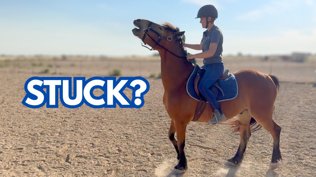 Riding My Colt: He DID NOT Want To Move
