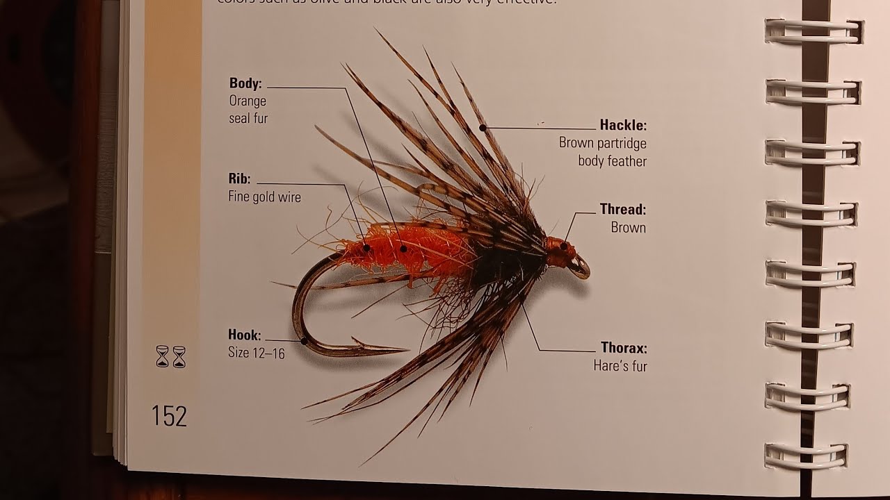 Hoot's Live Tie Busting Out Fly Tying Bible's Soft Hackle