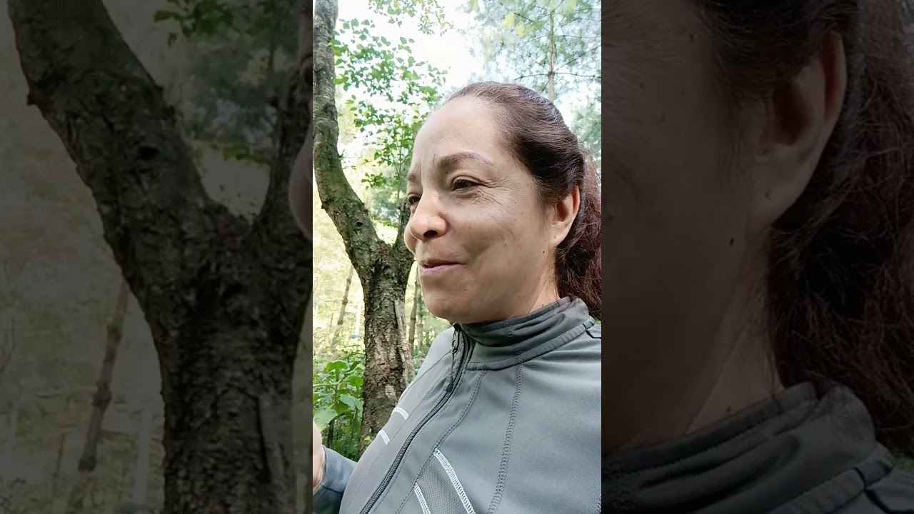 DESARMONIZAR. Alexandra Vicencio