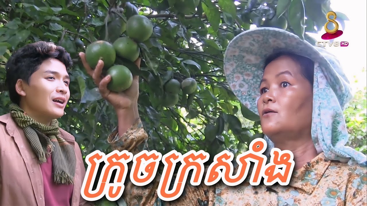 ក្រូចក្រសាំងដាំដោយប្រើជីធម្មជាតិ ប្រមូលផលបានយូរ ជាពិសេសជួយសុខភាពស្មារតីដល់អ្នកញាំទៀត