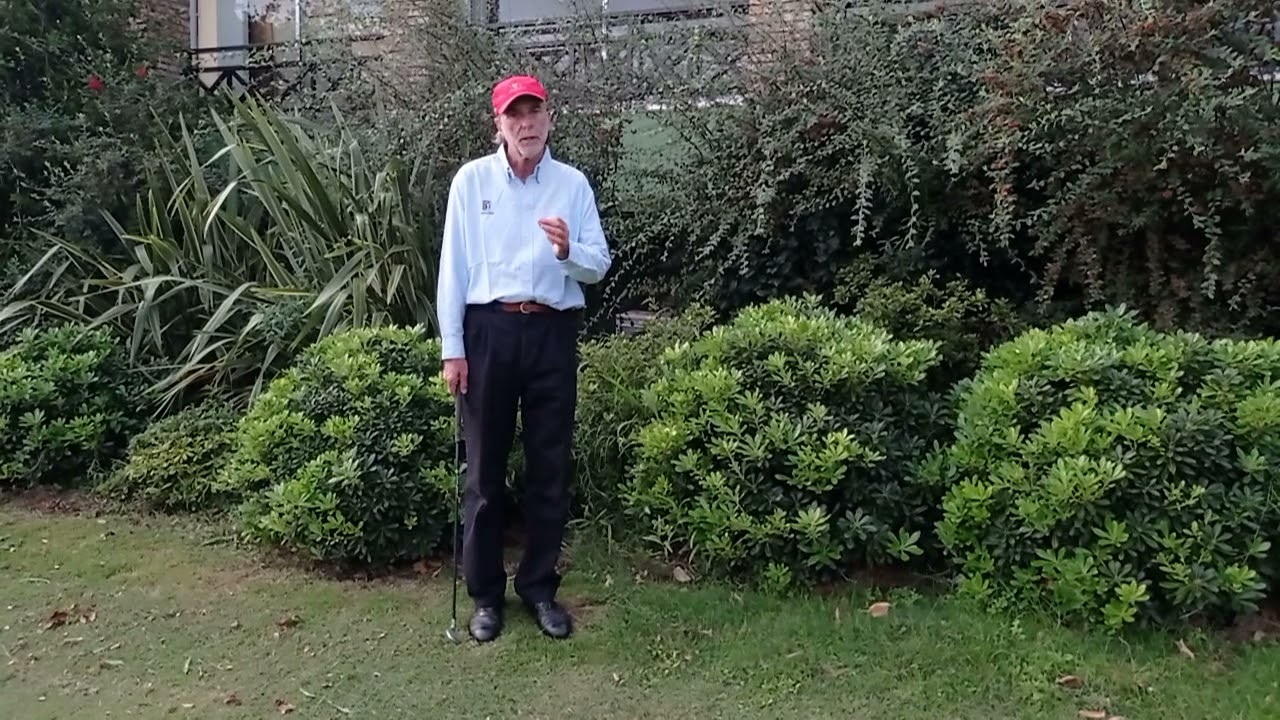 Reglas de golf | Bola perdida