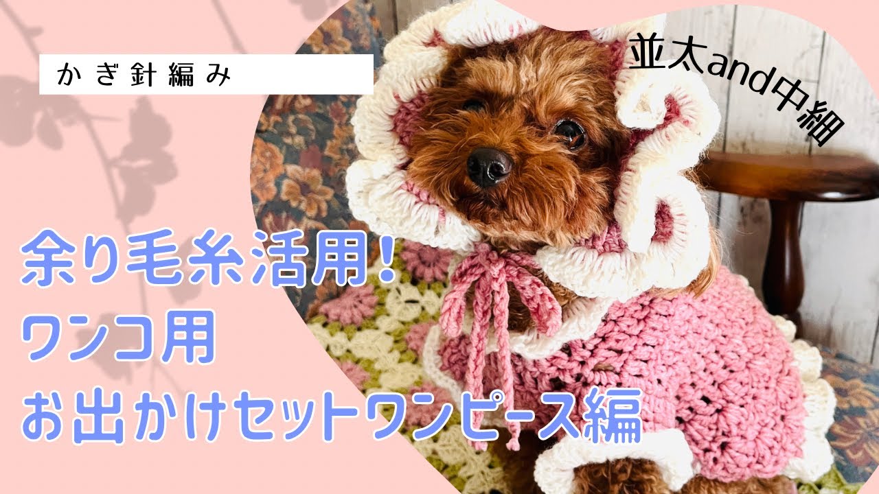 ワンコ用お出かけセットワンピース編↓サイズ等概要欄チェック