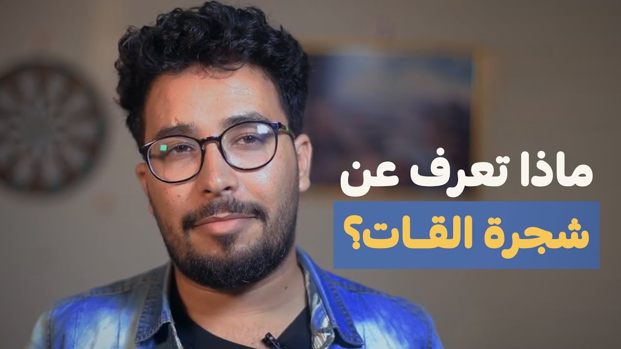 سيجما | الحلقة السابعة: ماذا تعرف عن شجرة القات؟