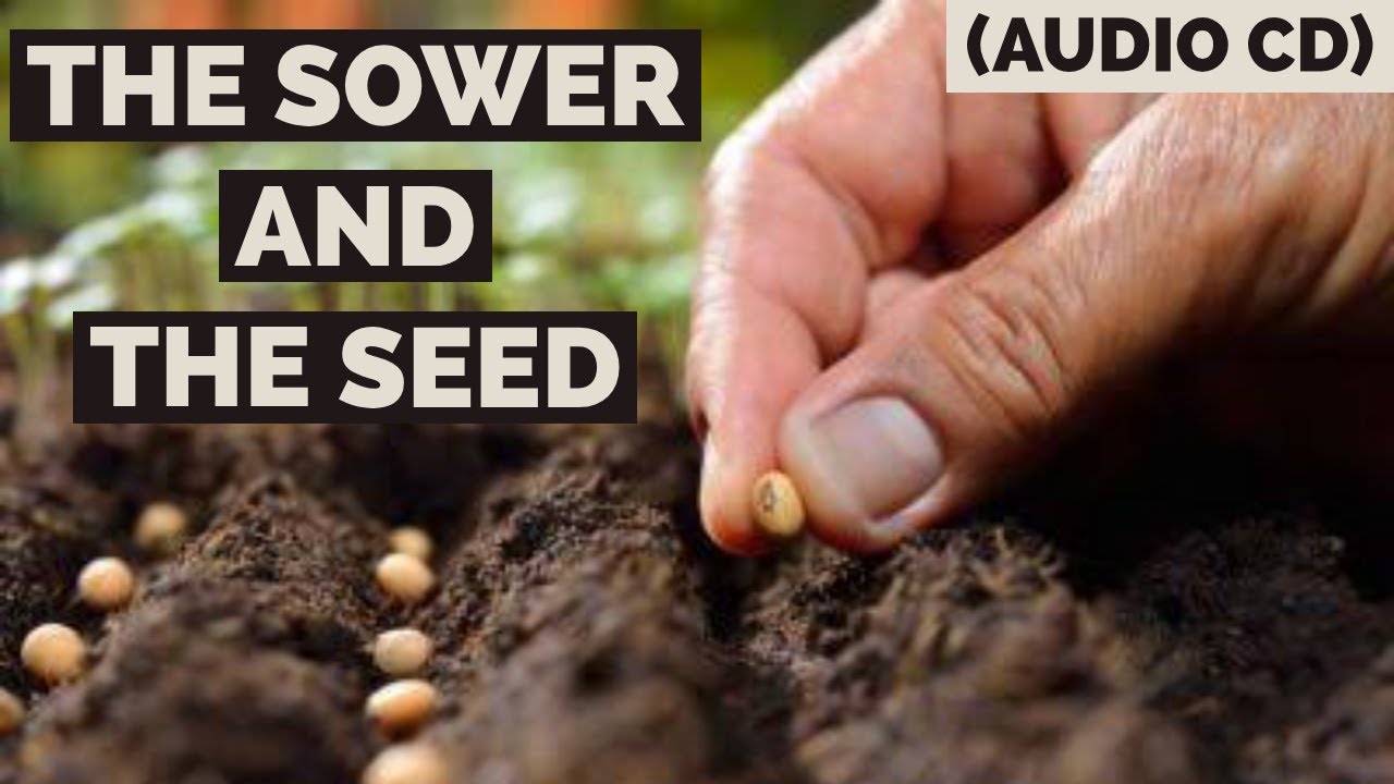 The Sower And The Seed, Part 1 (Audio CD) - Johnson Sequeira