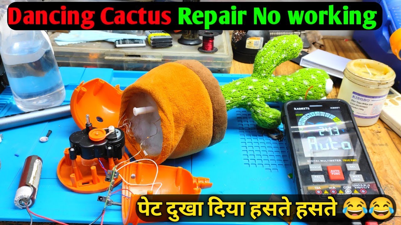 Dancing Cactus Repair no working Solution | इसने तो हसा हसा कर पेट दुखा दिया 😂😂