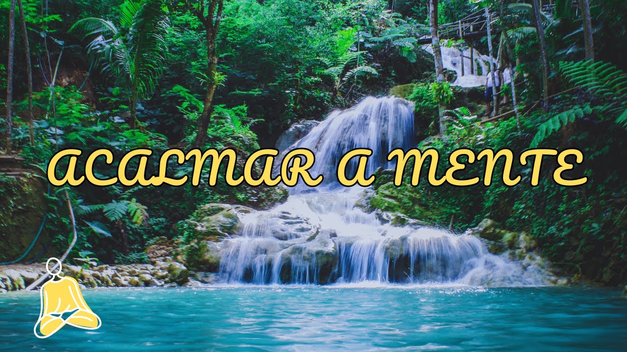 🧘Ref&uacute;gio na Natureza: Lago, Som de &Aacute;gua Corrente e M&uacute;sica Relaxante