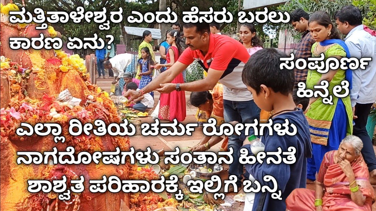 ಮತ್ತಿತಾಳೇಶ್ವರ ದೇವಸ್ಥಾನ ಕಲ್ಲುವೀರನಹಳ್ಳಿ|Mattitaleshwara temple near Malavalli|Mattitaleshwara temple|